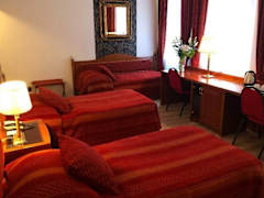 Zimmerbild 12