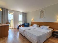 Zimmerbild 14