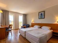 Zimmerbild 22