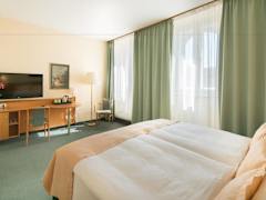 Zimmerbild 17