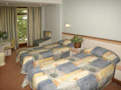 Zimmerbild 23