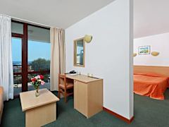 Zimmerbild 14