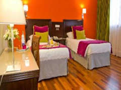 Zimmerbild 19