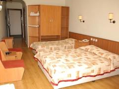 Zimmerbild 15