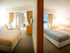 Zimmerbild 10