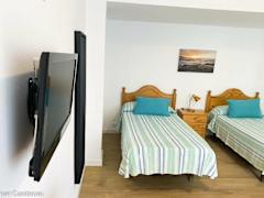Zimmerbild 41