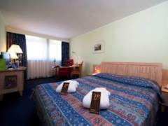 Zimmerbild 6