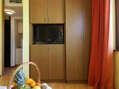 Zimmerbild 0
