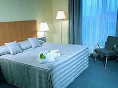Zimmerbild 17