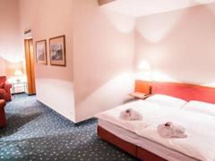 Zimmerbild 11