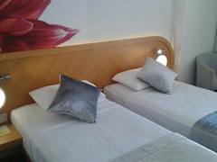 Zimmerbild 12