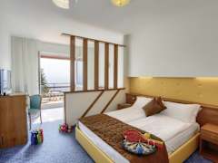 Zimmerbild 11