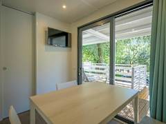 Zimmerbild 10