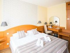 Zimmerbild 13