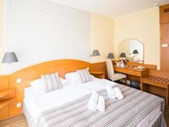 Zimmerbild 17