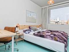 Zimmerbild 14