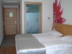 Zimmerbild 0