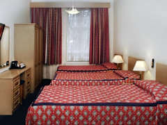 Zimmerbild 10