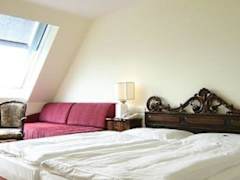 Zimmerbild 31