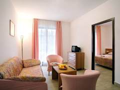 Zimmerbild 9