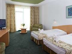Zimmerbild 33