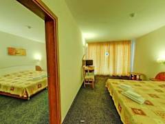 Zimmerbild 9
