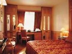 Zimmerbild 11
