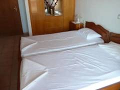 Zimmerbild 18
