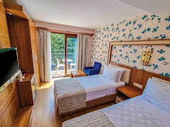 Zimmerbild 11