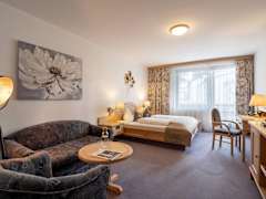 Zimmerbild 19