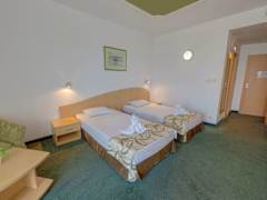Zimmerbild 25