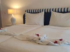 Zimmerbild 11