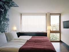 Zimmerbild 11