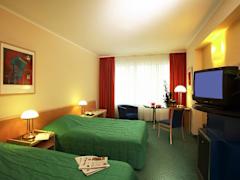 Zimmerbild 12