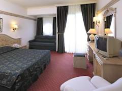 Zimmerbild 7