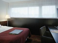 Zimmerbild 12