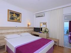 Zimmerbild 11