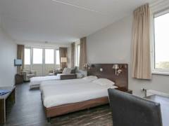 Zimmerbild 18
