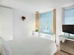 Zimmerbild 11