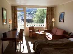 Zimmerbild 13