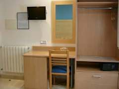 Zimmerbild 15