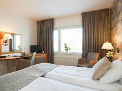 Zimmerbild 6