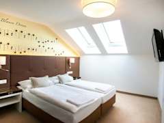 Zimmerbild 42