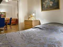 Zimmerbild 12