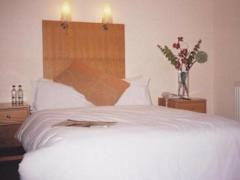 Zimmerbild 23