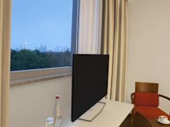 Zimmerbild 16