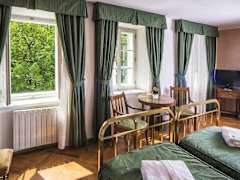 Zimmerbild 12