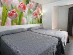 Zimmerbild 14