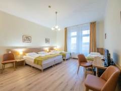 Zimmerbild 26