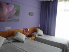 Zimmerbild 11